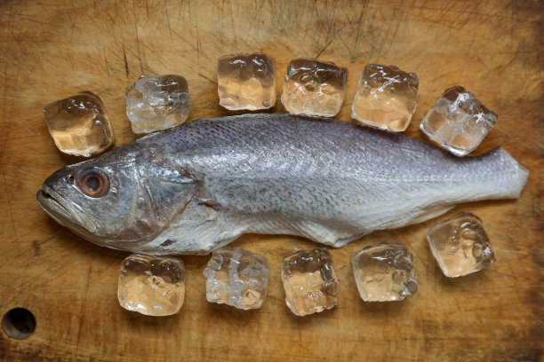 新鲜鱼、鱼和冰块放在木板上图片下载