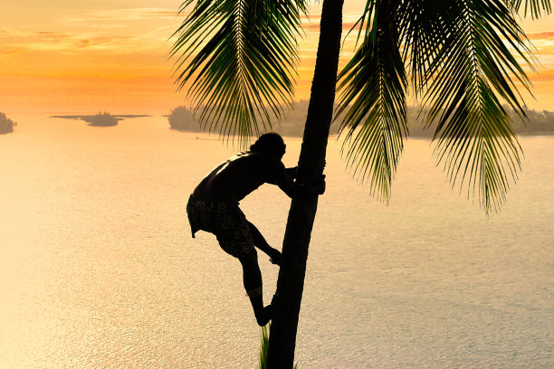 热带度假图片下载