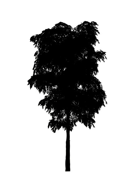 孤立的树剪影刷在白色背景图片下载