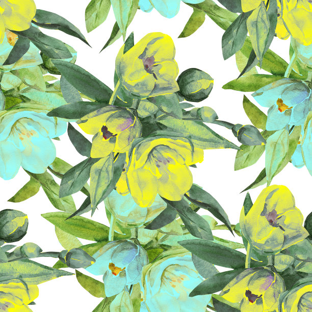 茉莉无缝模式。图片下载