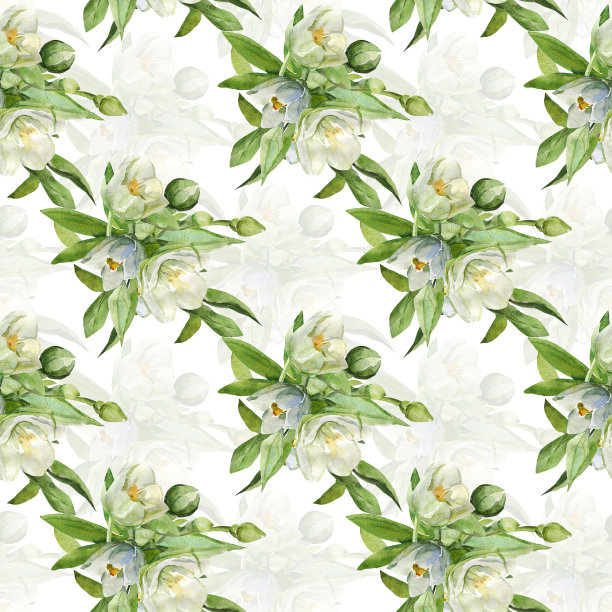 茉莉无缝模式。图片下载