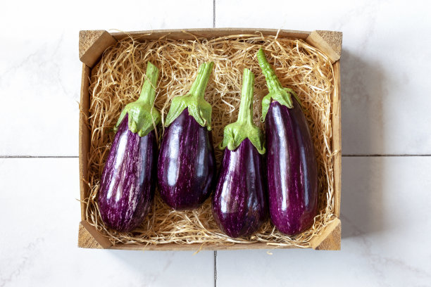 家庭菜园茄子在一个木箱图片下载