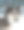录音棚里的西伯利亚哈士奇图片下载