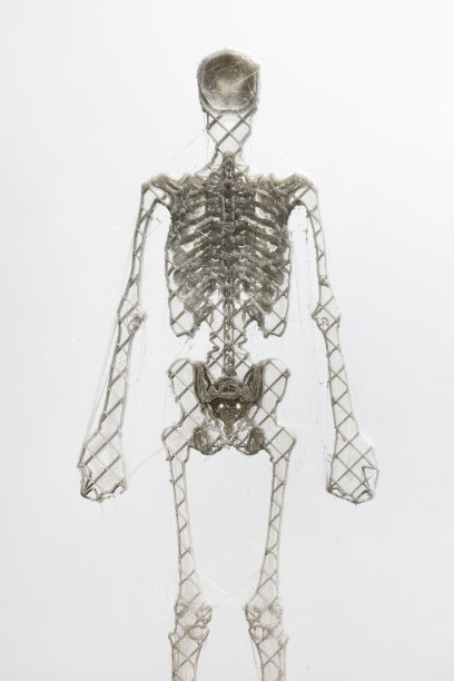 用3D打印机打印人体骨架，现代科技图片下载