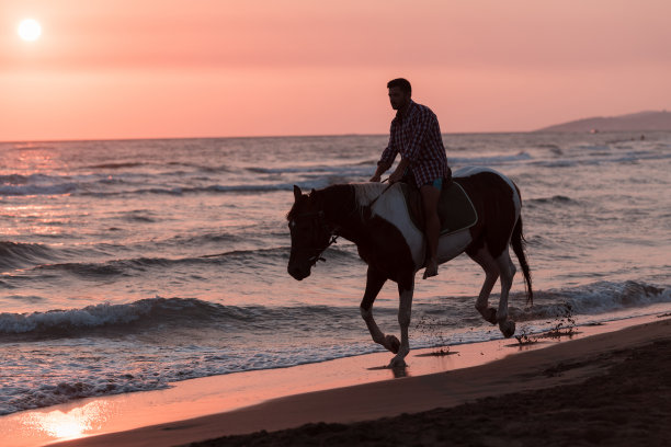 穿着夏装的现代人喜欢在日落时在美丽的沙滩上骑马。有选择性的重点图片下载