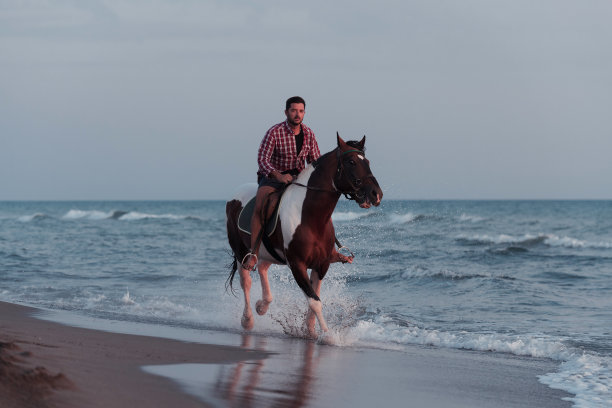 穿着夏装的现代人喜欢在日落时在美丽的沙滩上骑马。有选择性的重点图片下载