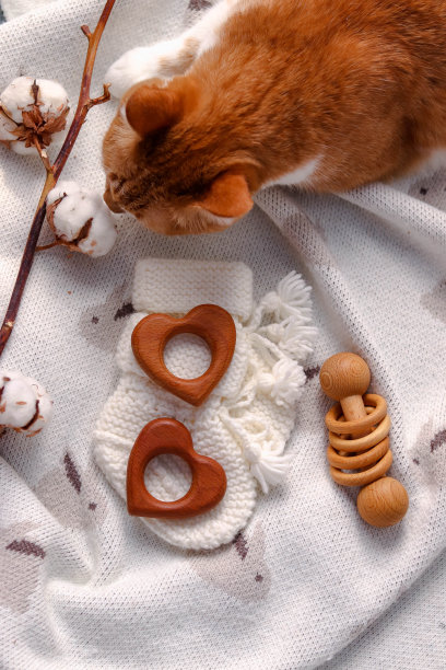 婴儿出牙用的木制玩具在育儿室的内部嘎嘎作响。没有性别。柔和的颜色图片下载