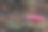 粉红色的线和顶针在古董中国黑色丝绸图片下载