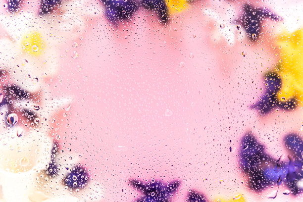 花的背景。各种水仙头、风信子花。水滴在玻璃上图片下载