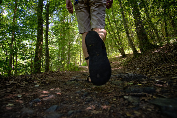 一日游出一个城市的小预算-徒步在一条小路上穿过茂密的森林图片下载