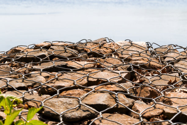 石头上有铁丝，背景是水图片下载