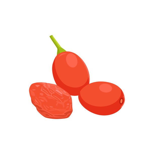 在白色背景上分离的枸杞扁平矢量。图片下载