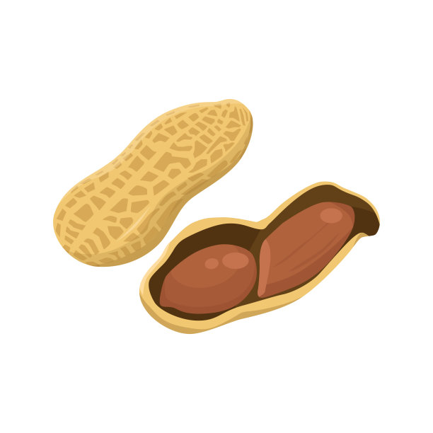 花生在白色背景上分离的扁平载体。图片下载