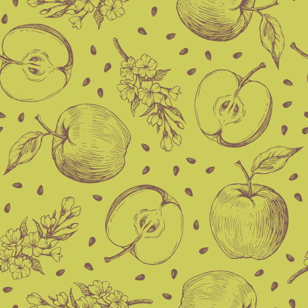 手绘苹果收获元素无缝图案。苹果，叶子，花，种子。图片下载