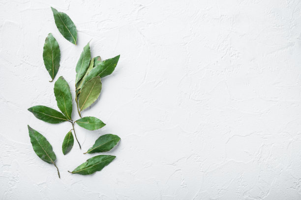 绿色和新鲜的月桂叶，在白色的石头背景，俯视图，平铺，与文字的复制空间图片下载