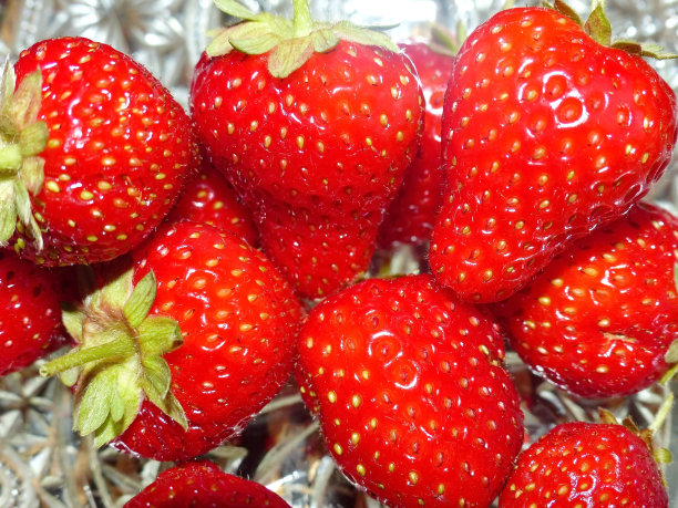 第一个春天的草莓。图片下载