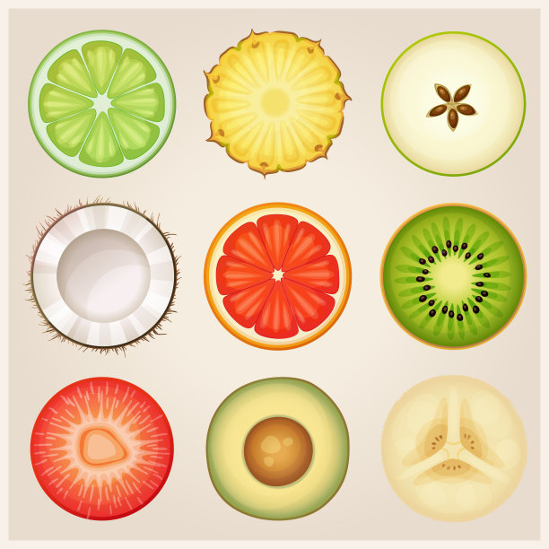 一套圆形水果一半矢量图标。新鲜青柠，菠萝，青苹果，椰子，柚子，猕猴桃，草莓，鳄梨，香蕉切卡通插图图片下载
