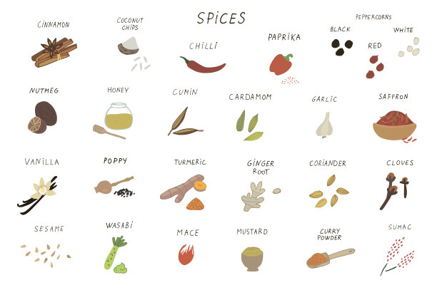 香料，胡椒，大蒜，芥末，生姜矢量插图集图片下载