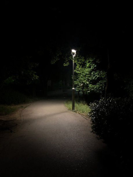 半夜里一条安静的小路图片下载