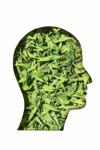 剪纸人头和绿草图片下载