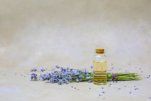 薰衣草油图片下载