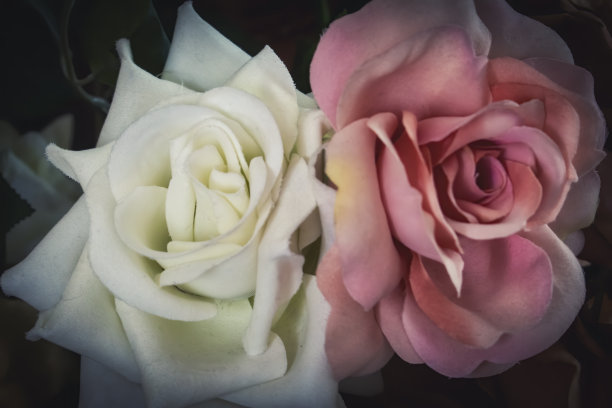 人造玫瑰的特写。人造花卉。插花。图片下载