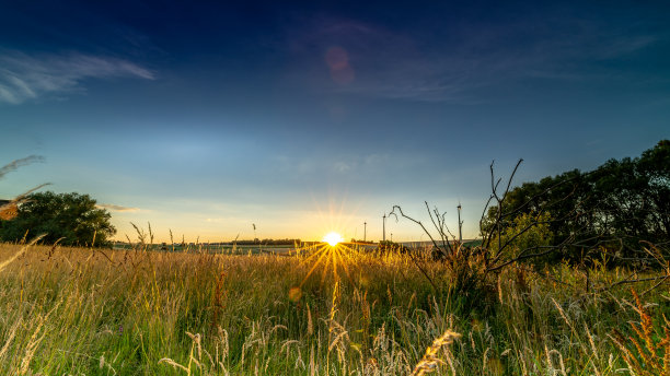 高草丛中的夕阳图片下载