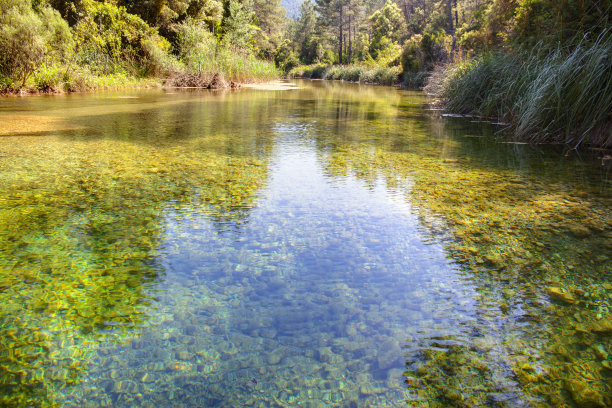 透明的河水图片下载