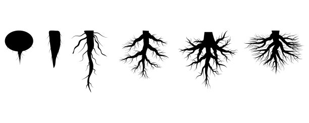 根集设计春天树花图片下载