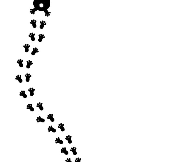 兔兔跑兔的爪印图片下载