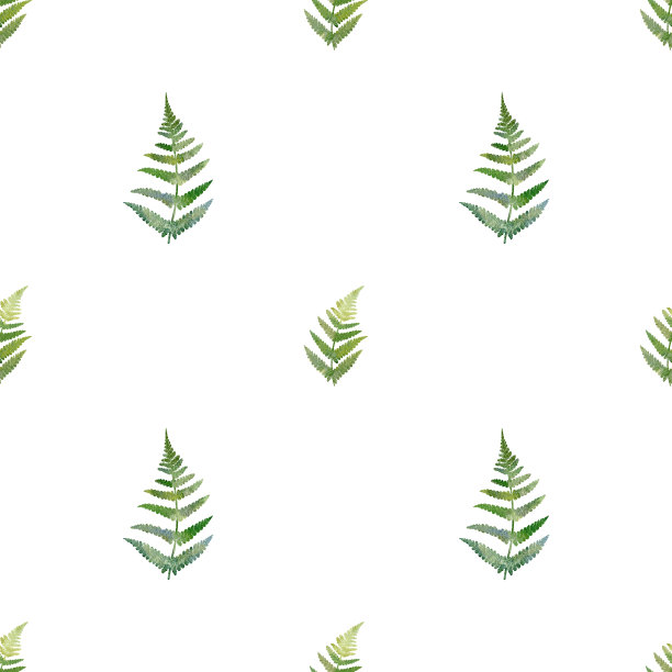 水彩绿色植物无缝图案。手绘蕨类插图的织物，包装纸上的白色背景图片下载