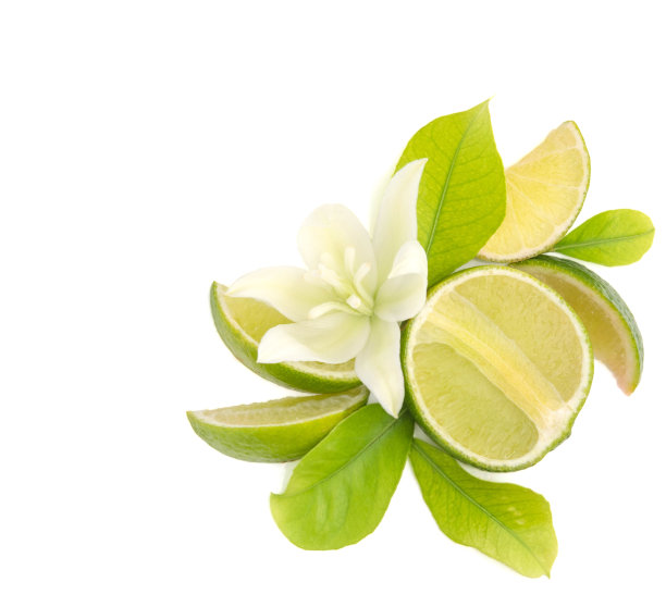 白色的背景上有带叶子和花的柠檬图片下载