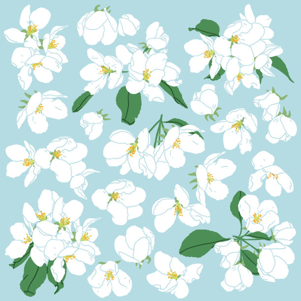 苹果树花修剪艺术花卉插图图片下载