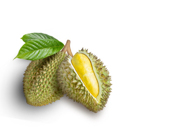 白色的榴莲果图片下载