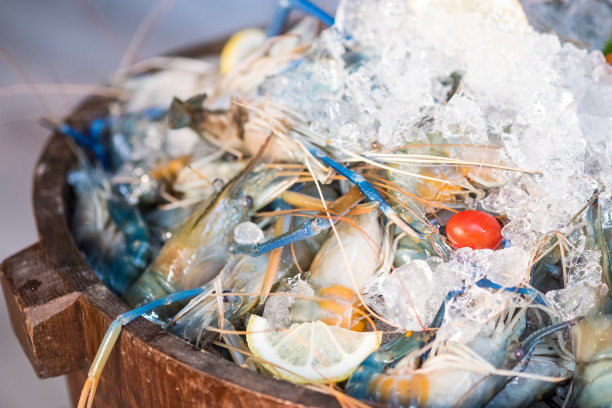 自助餐里的冰生新鲜大虾图片下载