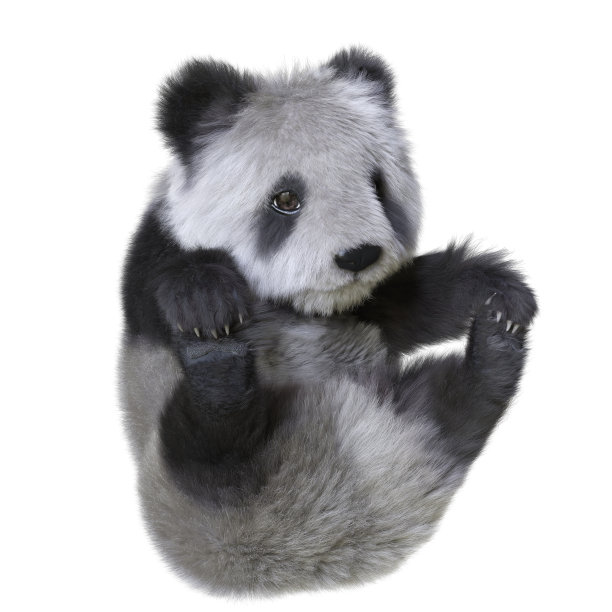 熊猫宝宝3d插图孤立的白色背景图片下载