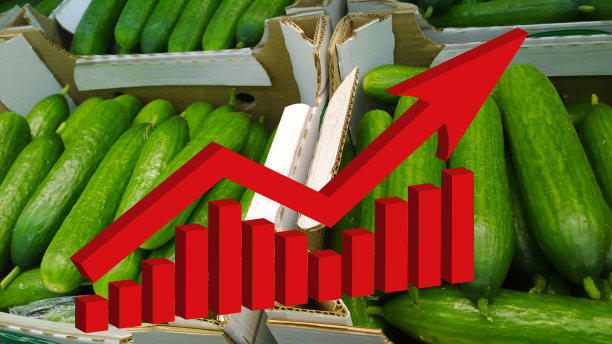 红色大箭头生长在绿色黄瓜的背景上。条形图和图形。不断上涨的食品价格。蔬菜。通货膨胀的概念。零售行业。经济危机。股票市场。商店。经济衰退。图片下载