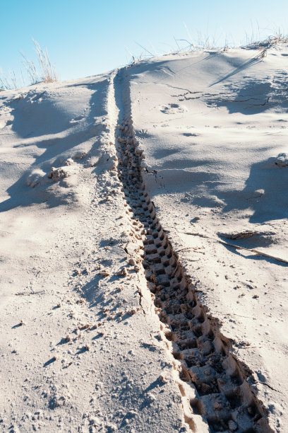 沙滩上沙丘上的摩托车轮胎痕迹。越野，越野的概念图片下载