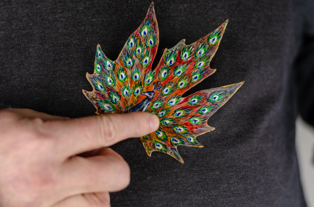 艺术家拿着一片落下来的叶子，上面画着一只孔雀。图片下载