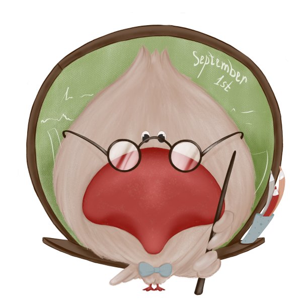 聪明的小鸟——戴着眼镜的老师，手里拿着黑板和蜡笔。可爱的卡通动物和学校用品。回到学校图片下载