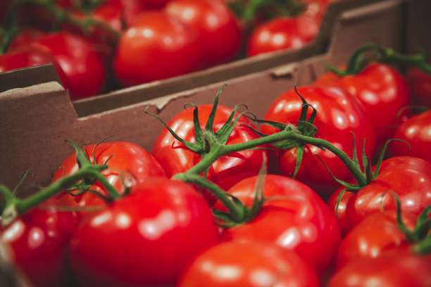 特写，放在柜台上的盒子里的西红柿。图片下载
