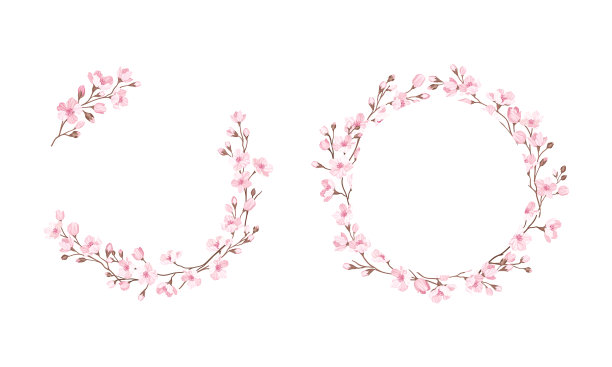 樱花的小枝或樱花排列在图片下载