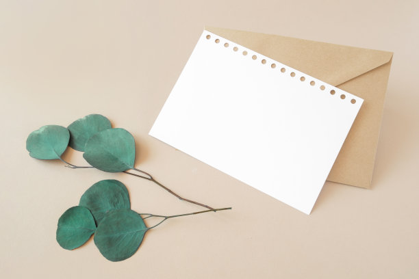 空白贺卡，邀请函模型。桉树枝植物在米色桌子背景。平铺，俯视图。副本的空间。纸模型。摩登极简商业品牌模板。软阴影。图片下载