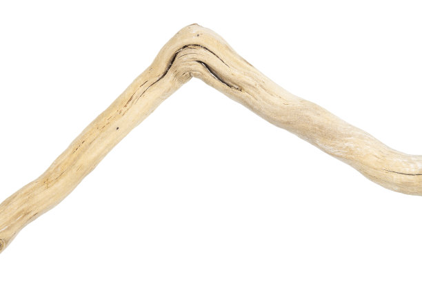 部分浮木孤立在白色上图片下载