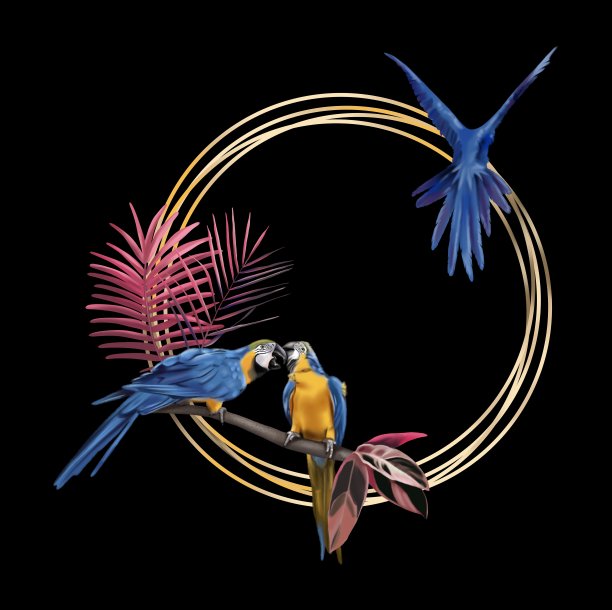 热带框架。金色的镜框里有金刚鹦鹉和棕榈叶图片下载