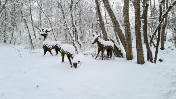冬季森林景观用人造苔藓制成。图片下载