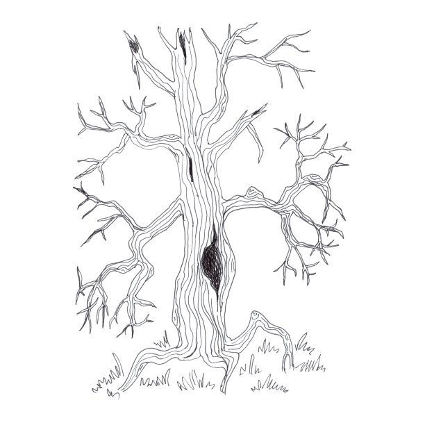 黑色和白色幽灵树图片下载