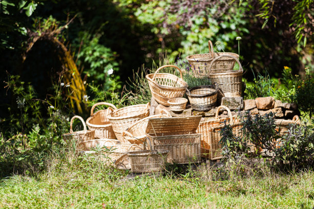 花园里的篮子图片下载