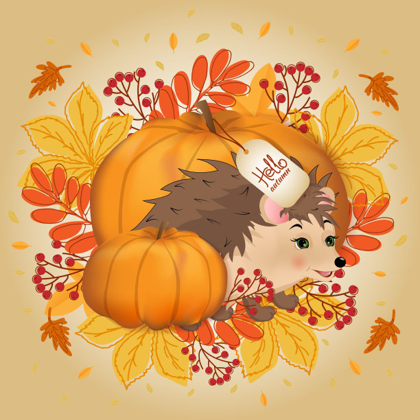 秋天明信片，有树叶，南瓜和刺猬。图片下载