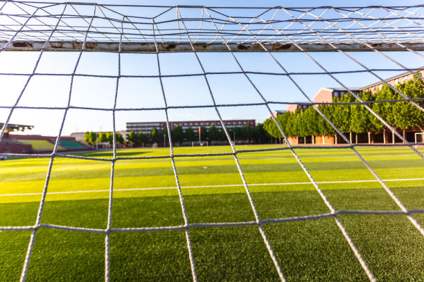 白色的足球网，绿色的草地背景图片下载